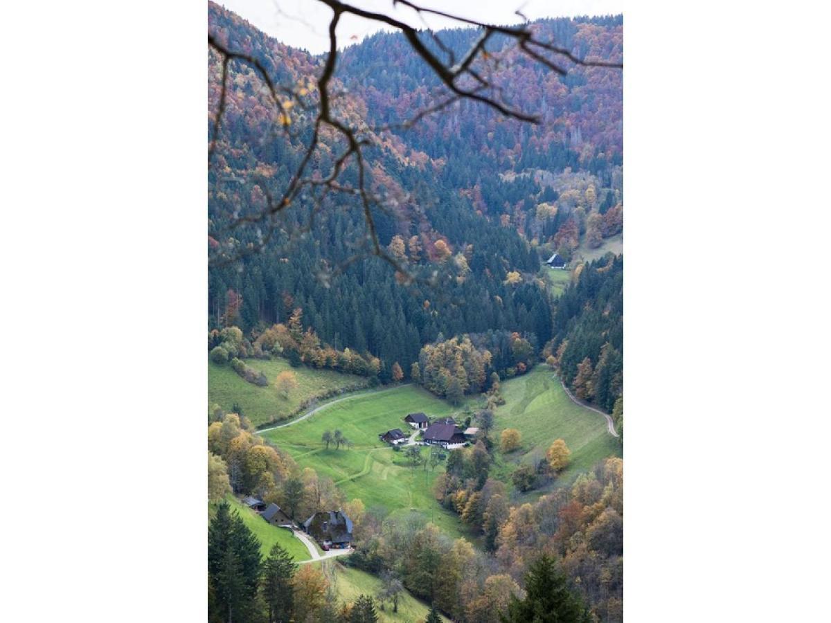 Berghotel Und Restaurant Kraeuter Chalet ฟวร์ตวานเงน ภายนอก รูปภาพ